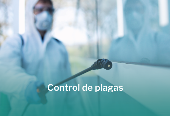 Fumigador con traje blanco, haciendo su trabajo sobre los bordes de lozas de una pared.