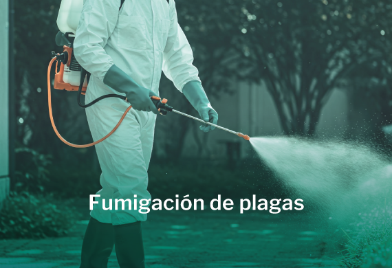Persona con aspersor de fumigación de plagas.