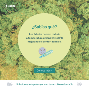 Imagen de dato curioso sobre el aporte de los árboles al medio ambiente.
